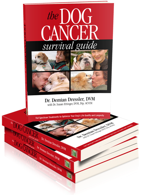 The Dog Cancer Survival Guide - Stacked Books