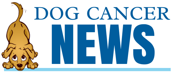 Dog Cancer News Email Header